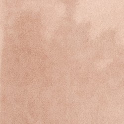 Ech. Taco Orchard Pink