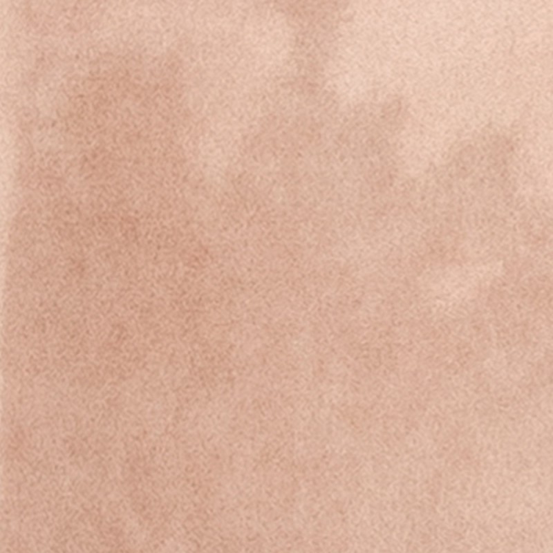 Ech. Taco Orchard Pink