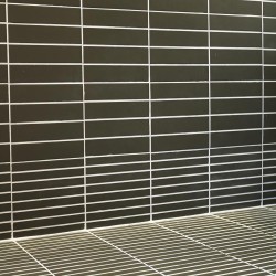 Raster Lines M Moss