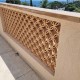 Celosia Olimpia Terracotta Arena 14