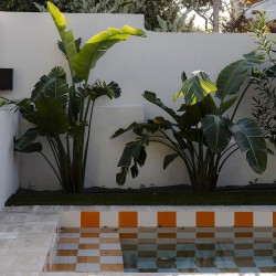 Carrelage uni blanc coton...