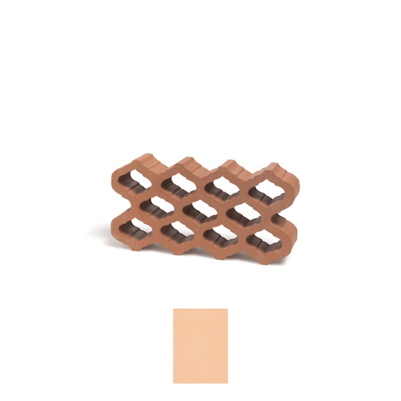 Celosia Rosas Terracotta Arena 14