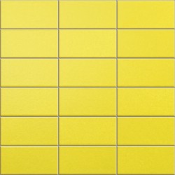 2,52m2 mosaïque Anthologhia...