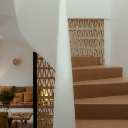 Celosia Montgri Terracotta...