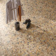 Carrelage effet terrazzo Neoclassica - Ambra