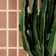 Carrelage effet terre cuite Sensi Terre Mattone