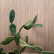 Carrelage mural effet terre texturée Sensi Terre Cannettato Mattone 60x120