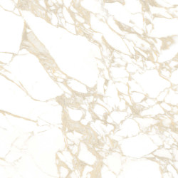 Carrelage effet marbre collection Pulp - plinthes -couleur or - photo carreau seul