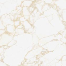 Carrelage extérieur effet marbre collection Pulp - plinthes - couleur or - photo carreau seul