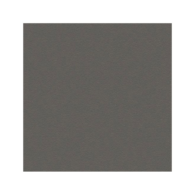 Carrelage uni couleur Nickel - pleine masse - carreau seul - 10x10 cm