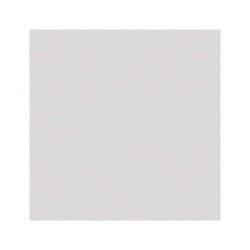 Carrelage extérieur uni collection Cesi - couleur Onno, gris clair - photo carreau seul