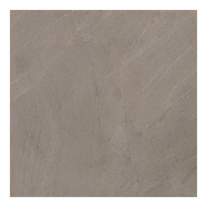 Ech. Nextone Taupe