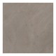 Ech. Nextone Taupe