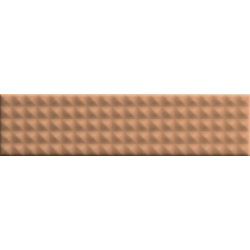 Ech. Biscuit Stud Terra