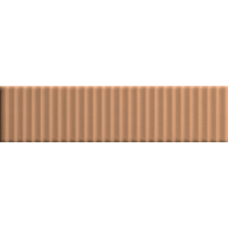 Ech. Biscuit Strip Terra
