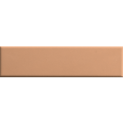 Ech. Biscuit Plain Terra