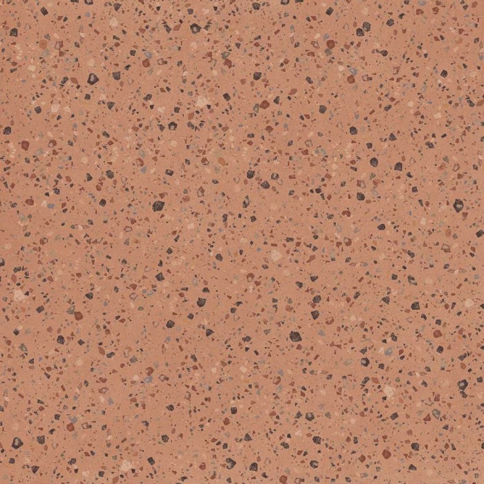 Ech. Argillae Coccio Gobi