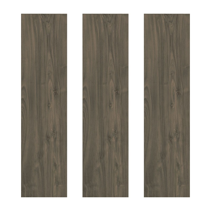 Ech. More Oliva