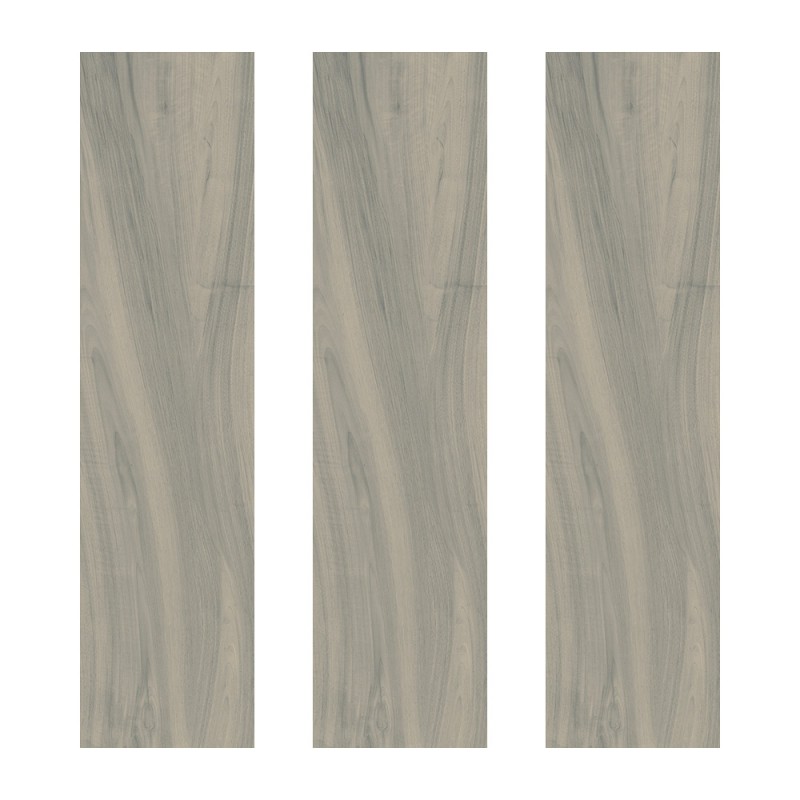 Ech. More Grigio