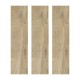 Ech. Woodland Elm