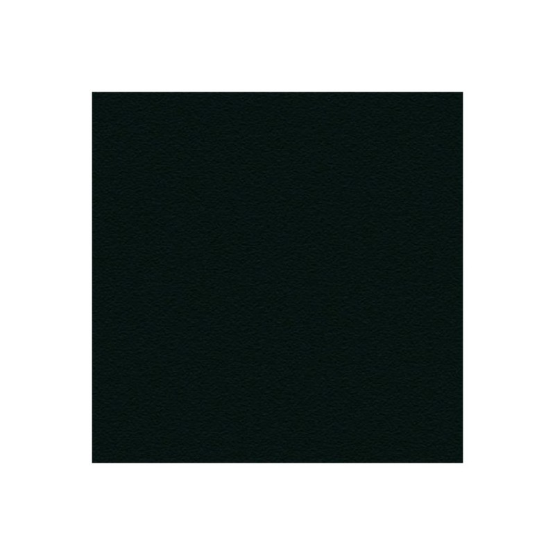 Ech. Carbonio - pleine masse