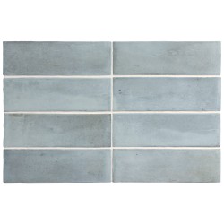 Ech. Coco Blue Grass