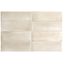 Ech. Coco Canvas