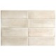 Ech. Coco Canvas