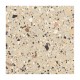 Ech.  Venice Beige