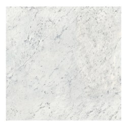 Ech. Infinito Carrara C