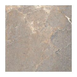 Ech. Anthology Earth