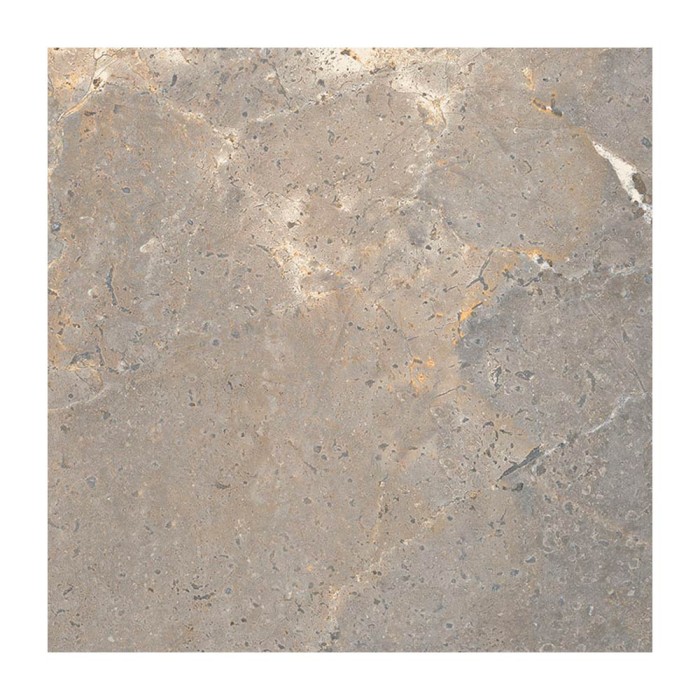 Ech. Anthology Earth