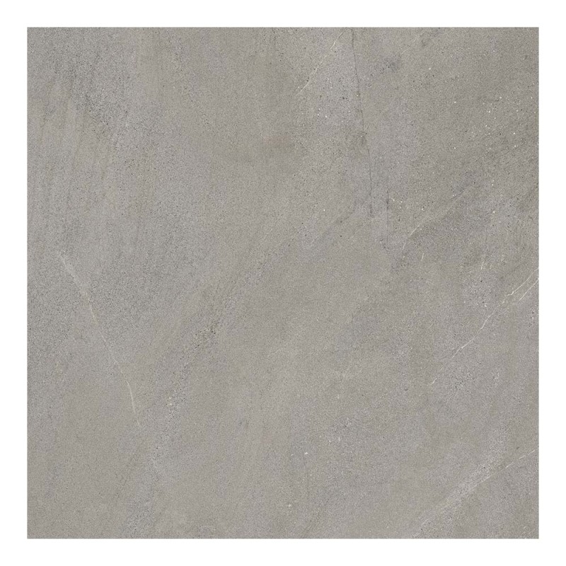 Ech. Nextone Gray