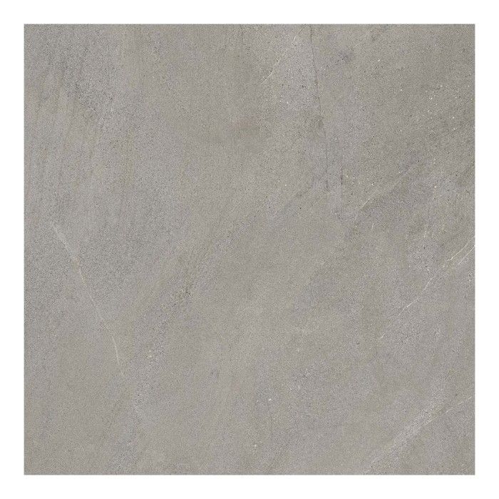 Ech. Nextone Gray