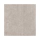 Ech. Nextone Mark Next Gray