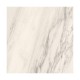 Ech. Delight Venato Bianco
