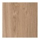 Ech. Bio Select Oak Ginger