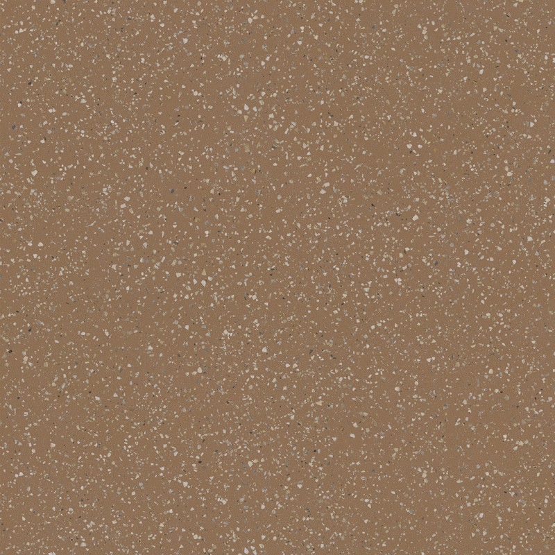 Ech. Pols Copper