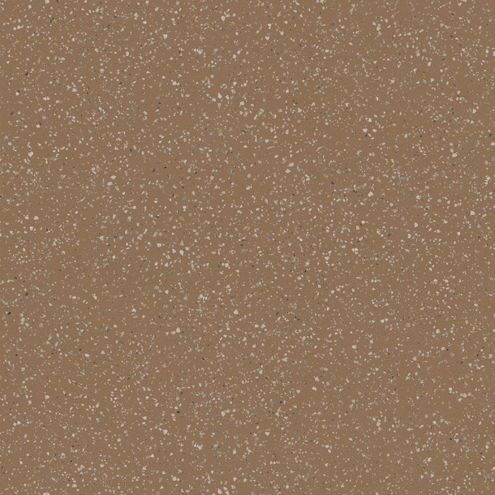 Ech. Pols Copper