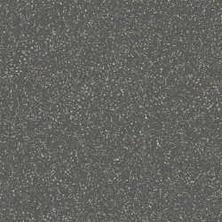 Ech. Pols Graphite