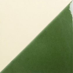 Carrelage à motifs terre cuite Cartabon - crème et vert mat - photo carreau seul