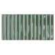 Ech. Colour Notes Bars Fennel