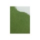 Ech. Estartit B  Verde 31