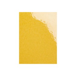 Ech. Estartit B  Amarillo 52