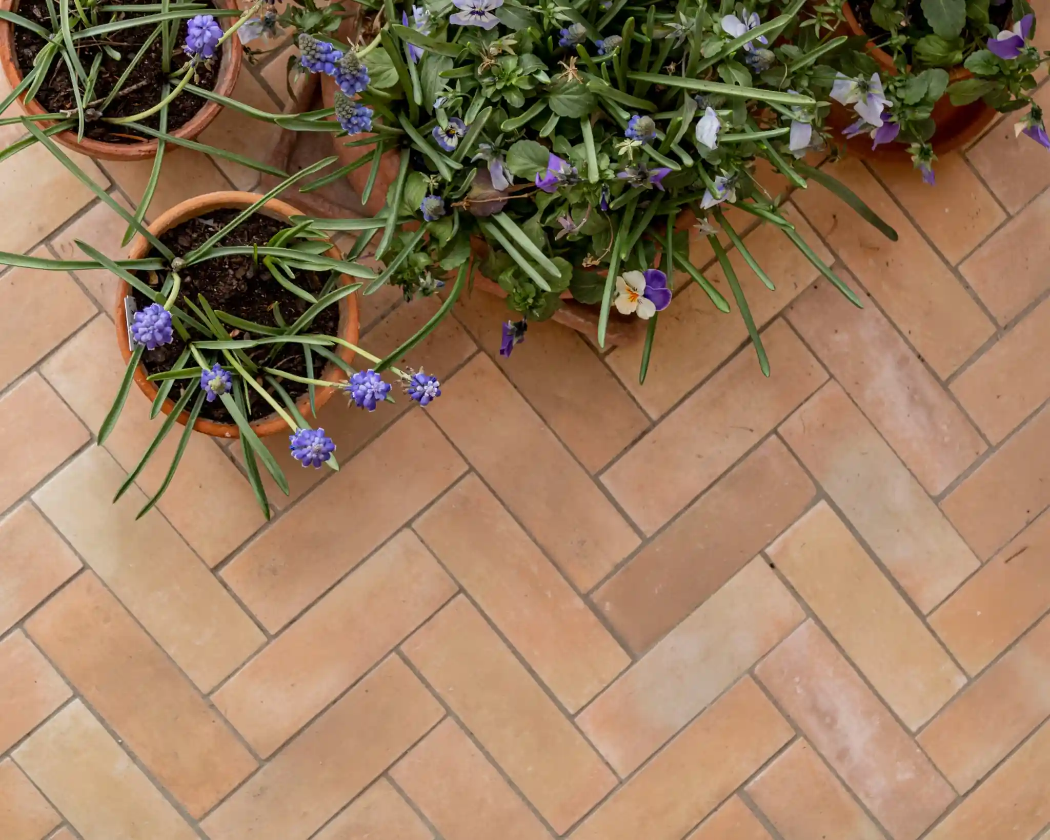 terrasse bejmat beige en chevrons avec pots de fleurs